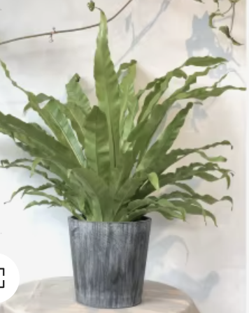 [R910056] Fleur Arbre MM 18 TETES 40cm